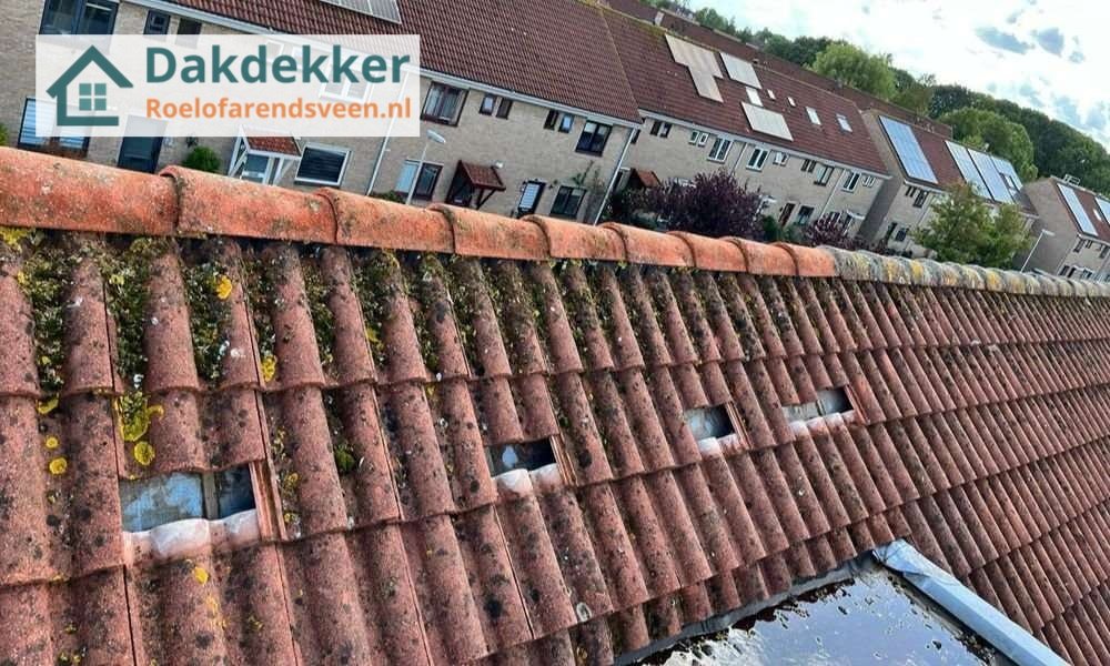 Een dakrenovatie bij oud pannendak Een dakrenovatie bij oud pannendak in Roelofarendsveen